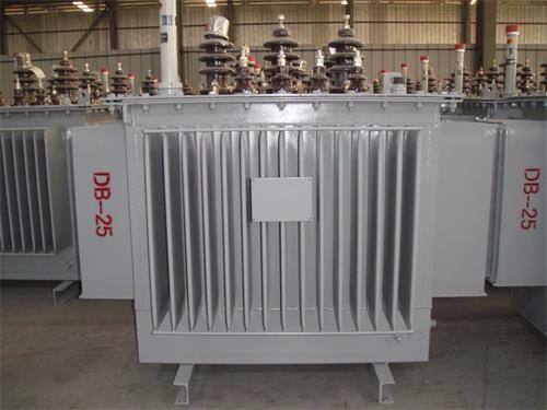 甘南S13-100KVA/10KV/0.4KV油浸式变压器